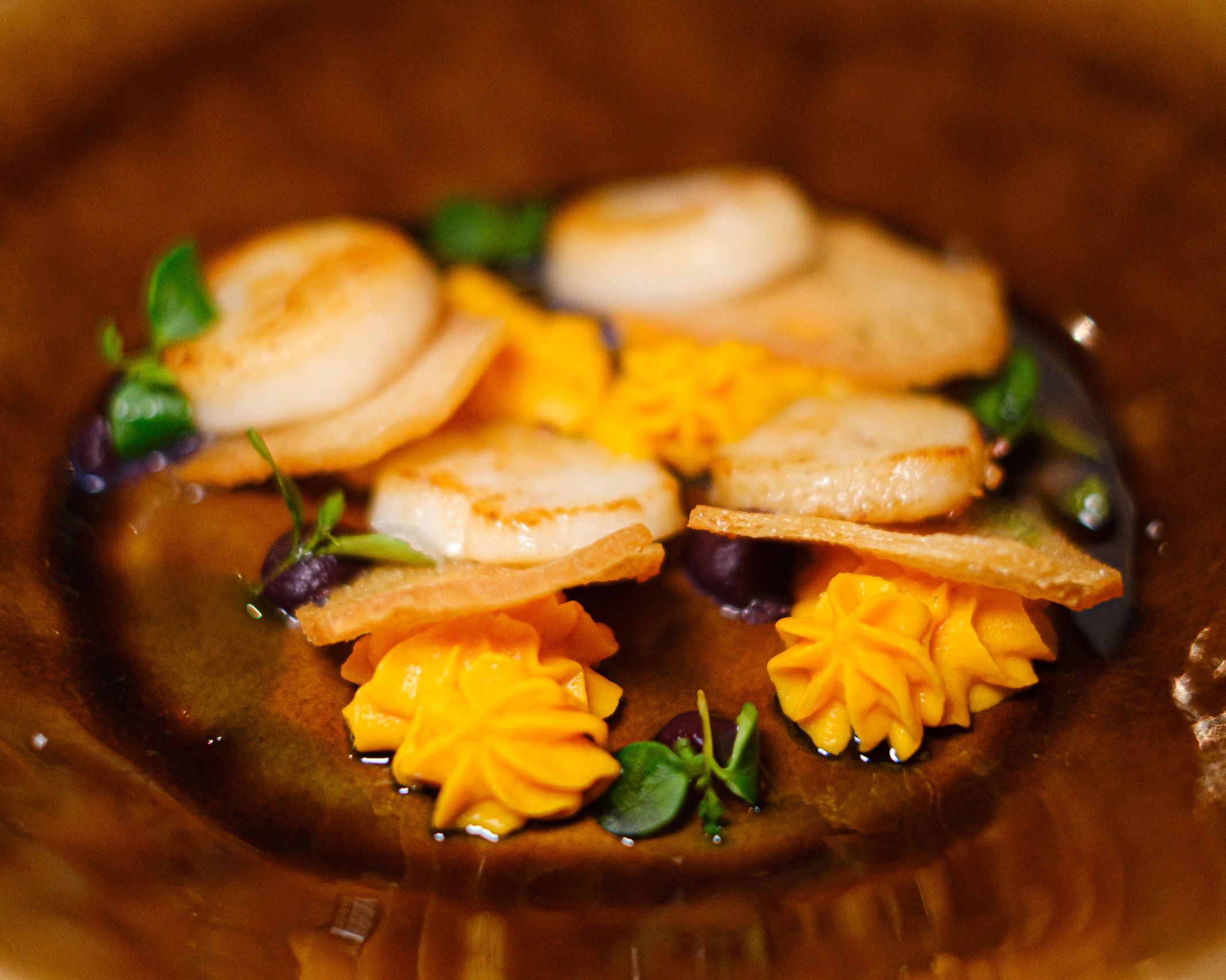 Plated scallop dish